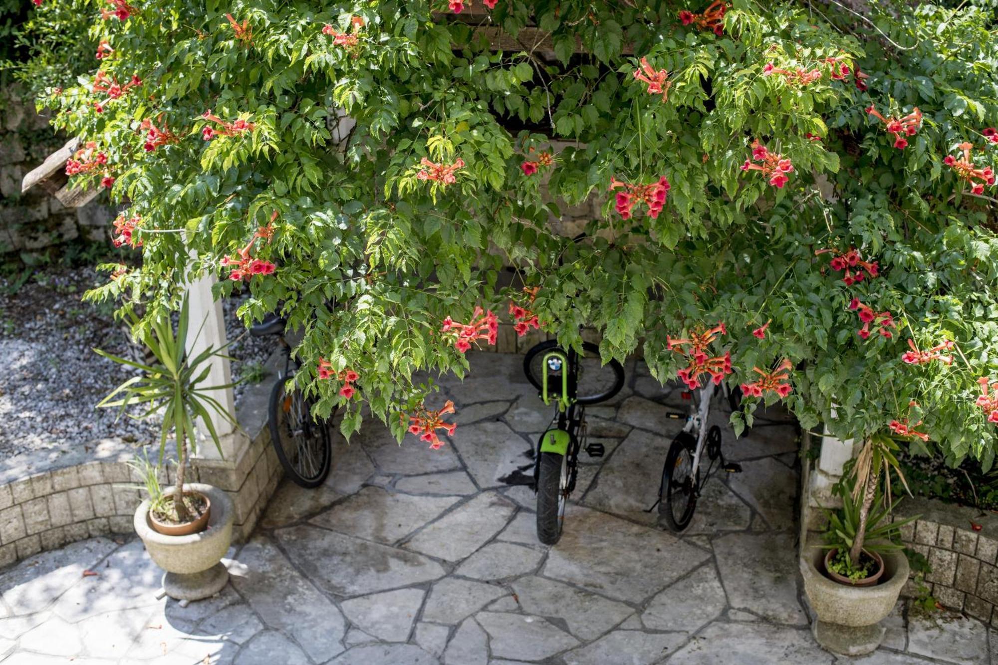 Villa D'Amore Montenegro Donji Morinj Exterior foto
